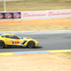 Illustration for article titled Petit Le Mans 2019 (Corvette Heavy)